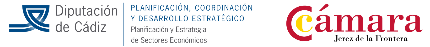Cofinanciadores Pasarela flamenca 2024