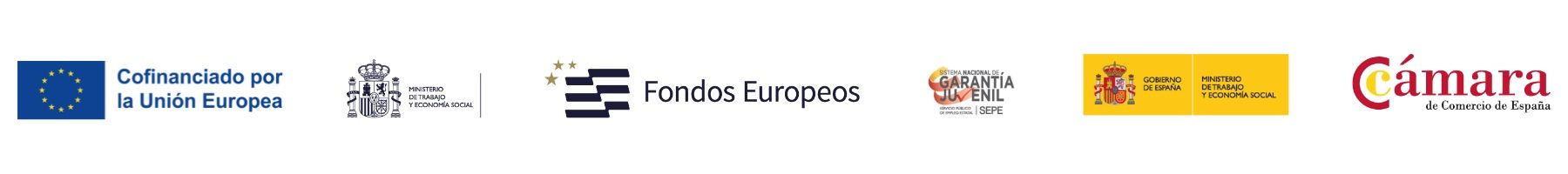 Entidades Cofinanciadoras PICE 2024