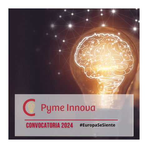 Pyme Innova 2024