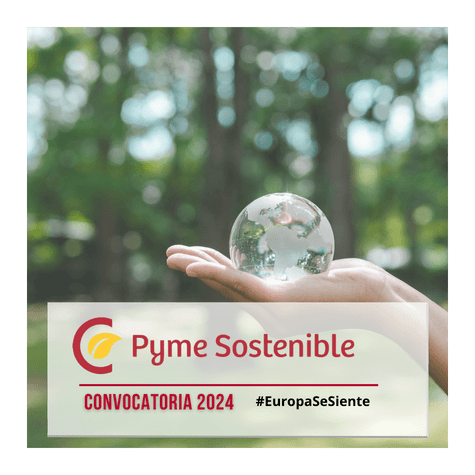 Pyme Sostenible 2024
