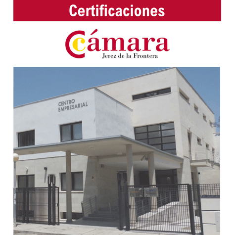 Políticas de Calidad, Medio Ambiente y Seguridad de la información