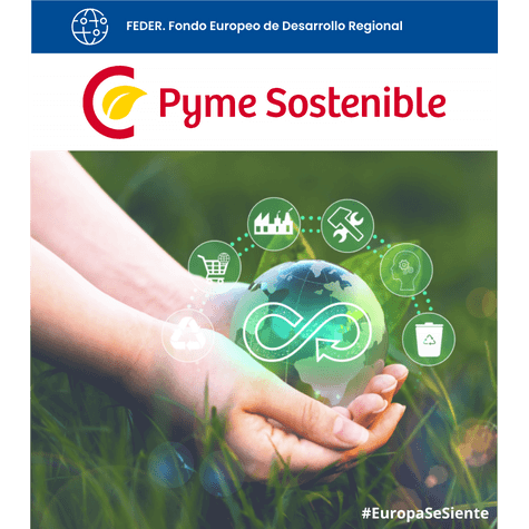 Programa Pyme Sostenible