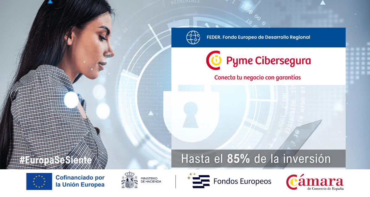 Banner Pyme Cibersegura