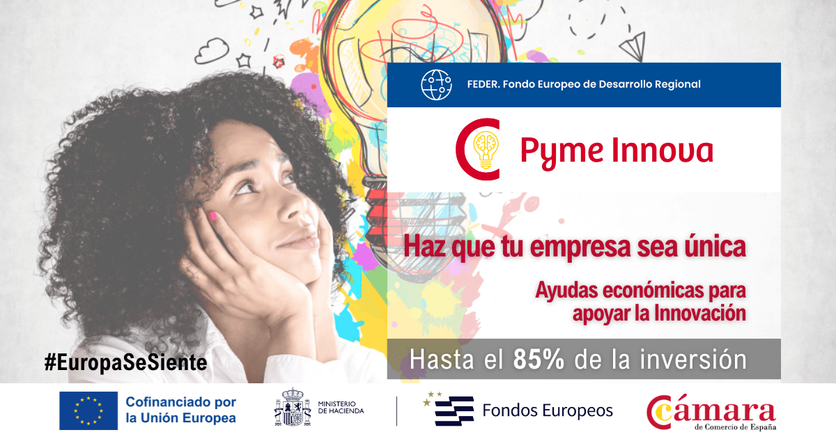 Banner Pyme Innova 2026