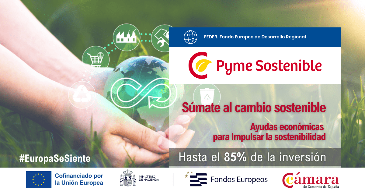 Banner Pyme Sostenible 2026